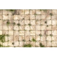 fundal foto pavaj maro deschis de piatra