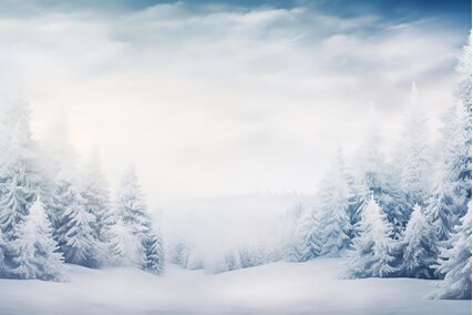 fundal foto cu peisaj de iarna cu padure de conifere