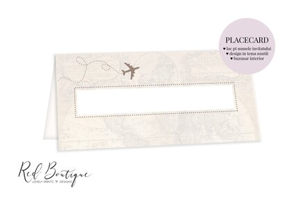 plic pentru bani de nunta cu avion