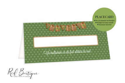 plic pentru bani cu verde si chenar pentru nume invitat