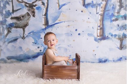 fundal pentru poze de craciun