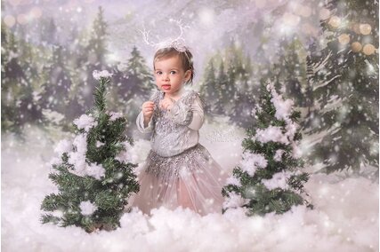 fundal de fotografii pentru Craciun