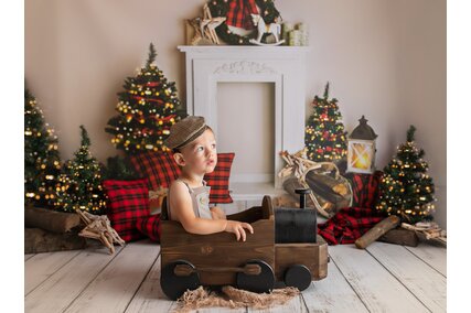 panouri foto de craciun cu brazi