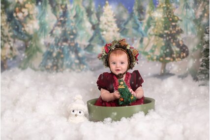 panou foto de craciun pentru poze cu copii