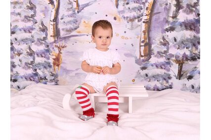 panou foto cu padure si zapada