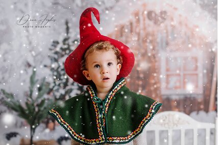 backdrop de craciun cu casuta si zapada