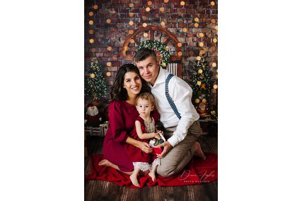 fundal foto de craciun cu caramida si brazi