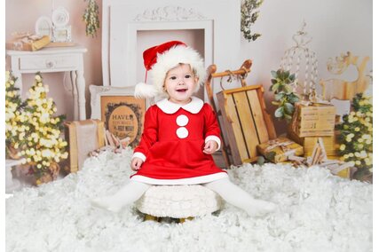 fundal cu semineu si saniuta si brazi impodobiti