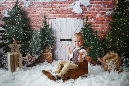 panou foto de craciun cu brazi