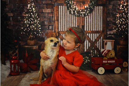 panou pentru poze de craciun cu usa maro si brazi cu beculete pe fundal de caramida maro