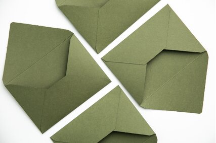 plic verde manual C6